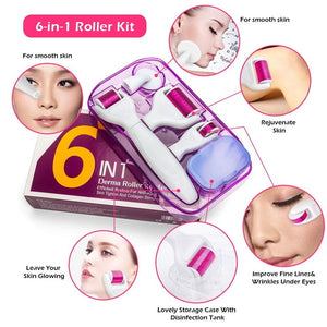 6 in 1 Microneedle Derma Roller Kit Titanium Dermaroller Micro Needle Facial Roller Skin Care For Skin Care and Body Treatment